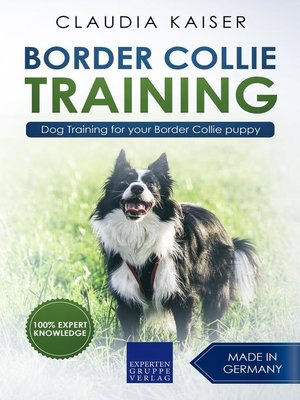 cover image of Border Collie Training--Dog Training for your Border Collie puppy